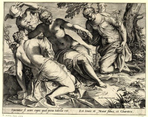 Kép nagyítása
