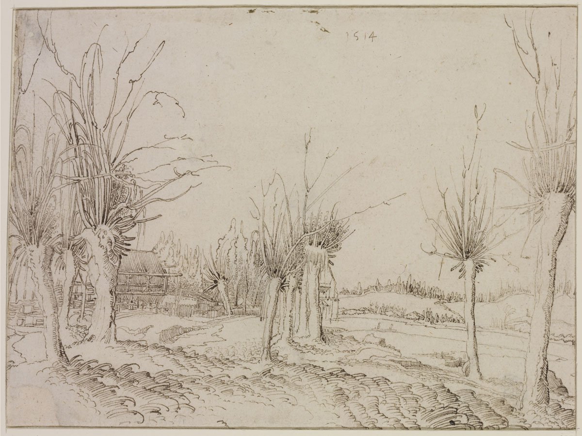 Wolfgang Huber: Fűzfák a patak partján, 1514