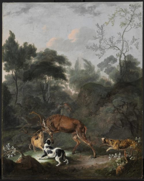 Kép nagyítása