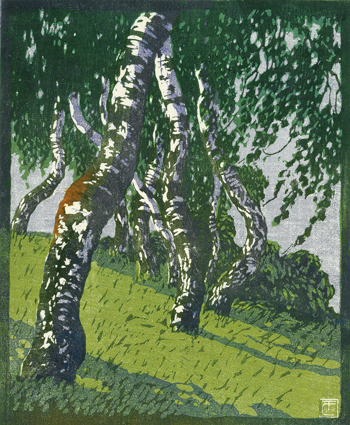 Carl Theodor Thiemann