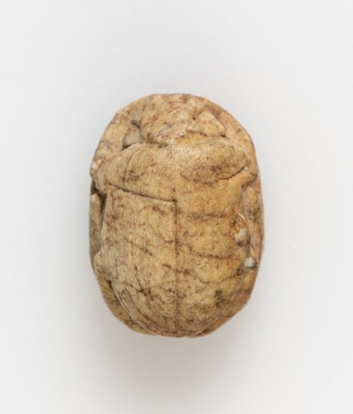 Kép nagyítása